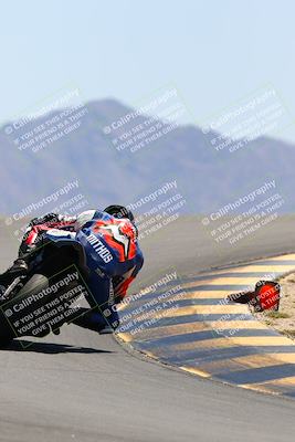 media/May-14-2022-SoCal Trackdays (Sat) [[7b6169074d]]/Turn 12 Backside (1135am)/